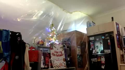rod77knee online show from December 2024 02:13:01 AM