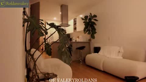 Snapshot of roldansvalery chatting on January 2026 02:27:02 AM Valery Roldans online show from January 2026 02:27:02 AM