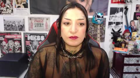 Snapshot of rollyderolandia666 chatting on September 2025 10:46:02 PM Rolly online show from September 2025 10:46:02 PM