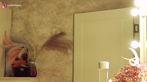 Snapshot of rosaliefetish chatting on November 2025 06:28:02 PM Rosalie online show from November 2025 06:28:02 PM