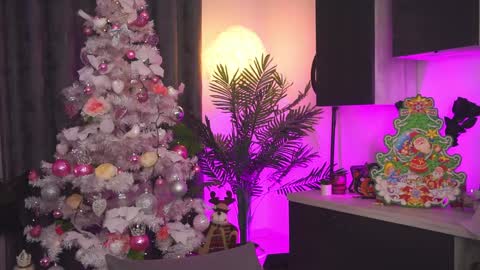 Amii online show from December 2024 11:10:01 PM