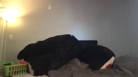 Snapshot of rosielinda16 chatting on March 2026 10:37:02 PM Rosie online show from March 2026 10:37:02 PM