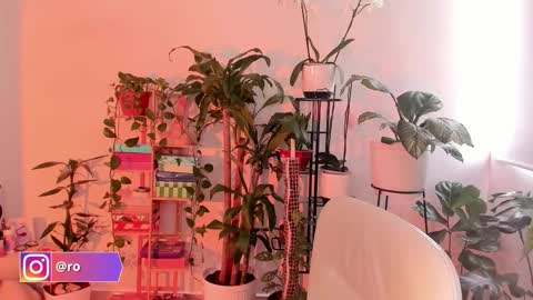 Snapshot of rossth11 chatting on October 2025 07:43:01 PM Im Ross online show from October 2025 07:43:01 PM