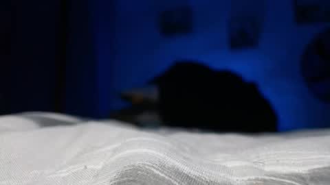 rosyejones online show from February 2026 06:40:02 AM