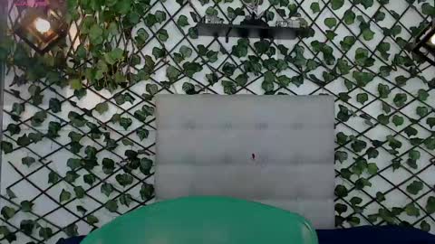 Rous online show from February 2025 09:35:02 AM