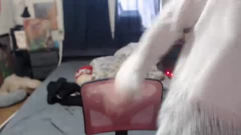 Silver online show from February 2025 03:16:02 PM