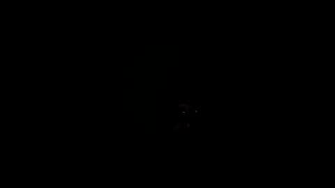 Snapshot of royce888 chatting on November 2025 05:24:01 AM royce888 online show from November 2025 05:24:01 AM