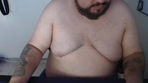 Bear online show from January 2026 04:42:01 PM