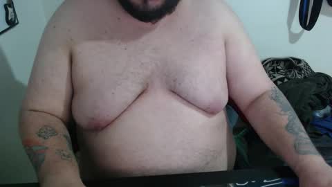 Bear online show from February 2026 03:33:02 AM