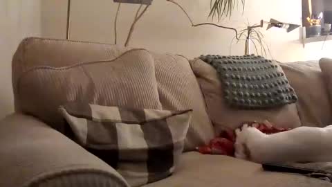 Snapshot of rustyx22 chatting on January 2025 03:52:02 AM Rusty online show from January 2025 03:52:02 AM