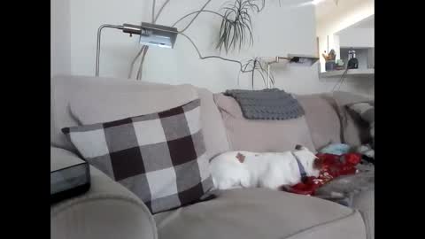 Snapshot of rustyx22 chatting on March 2025 04:07:02 PM Rusty online show from March 2025 04:07:02 PM