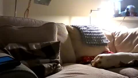 Snapshot of rustyx22 chatting on October 2025 01:34:01 AM Rusty online show from October 2025 01:34:01 AM