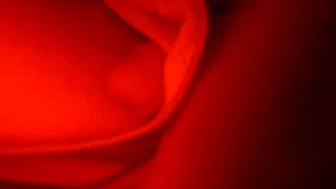 ryucravenmore online show from October 2025 01:09:01 PM