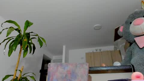 Sara  online show from December 2024 08:55:02 AM