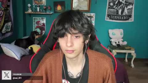 Snapshot of sai_l chatting on January 2025 07:31:01 PM SAI online show from January 2025 07:31:01 PM