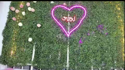 salome online show from January 2025 10:50:01 PM