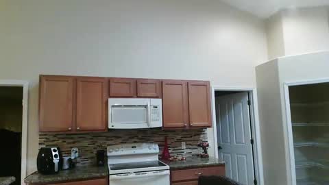 sam_papithebarber online show from September 2025 04:02:02 AM