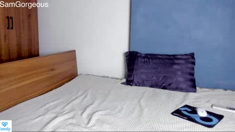 Snapshot of samgorgeous chatting on December 2024 10:50:02 AM Fansly - Top4fans online show from December 2024 10:50:02 AM