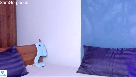 Snapshot of samgorgeous chatting on January 2025 02:37:01 PM Fansly - Top4fans online show from January 2025 02:37:01 PM