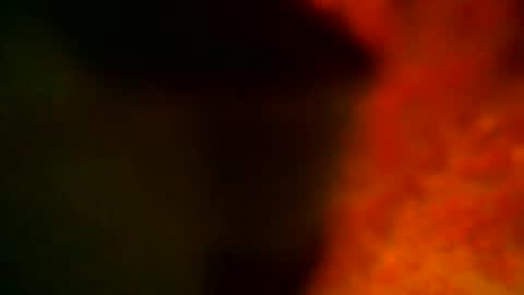 samueltal online show from October 2025 09:15:01 PM