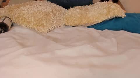 Find me at  when im offline here. online show from January 2025 07:21:02 PM