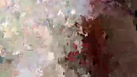 sanek7777 online show from October 2025 06:28:02 PM