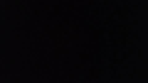  SARA online show from October 2025 11:33:02 AM