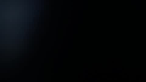  1 online show from January 2025 02:29:02 PM