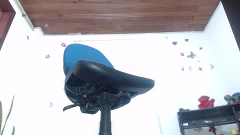 Snapshot of saralovens chatting on January 2025 12:15:02 PM Saraloves online show from January 2025 12:15:02 PM