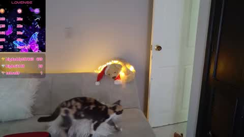 Saritha online show from March 2026 02:09:02 PM