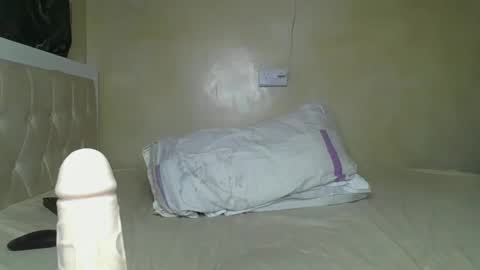 sassie_bee online show from February 2025 03:45:02 AM