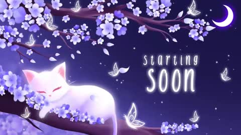 Sassy Sami Kittyn online show from February 2025 05:47:01 AM