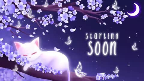 Sassy Sami Kittyn online show from October 2025 05:08:02 AM