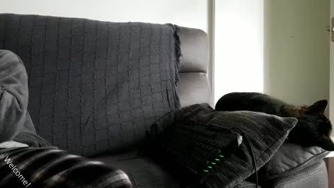 saulcontigo online show from January 2025 10:23:02 AM