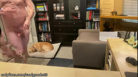 Saul Goode online show from January 2025 11:13:01 PM