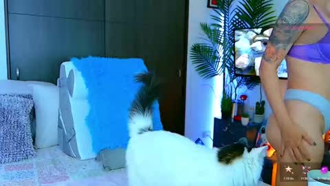   Dela  online show from January 2026 04:42:02 PM