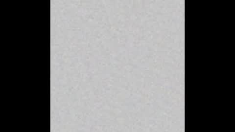 Venus online show from January 2025 12:21:01 PM