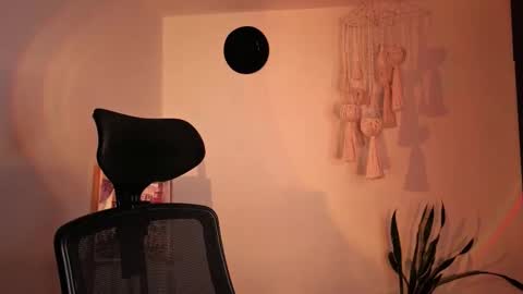 Venus online show from November 2025 01:55:01 PM