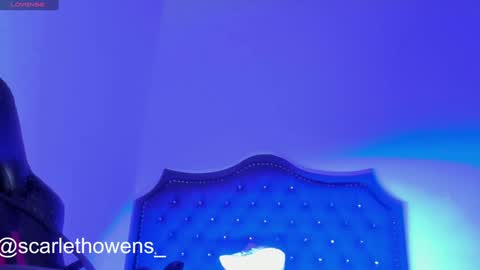 Snapshot of scarleth_owens1 chatting on December 2024 09:50:01 AM    online show from December 2024 09:50:01 AM
