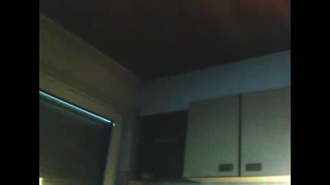 schnibschnab online show from February 2026 11:47:02 AM