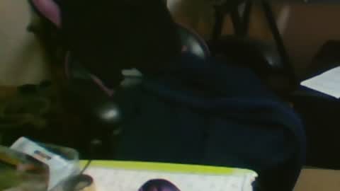 Snapshot of schnico chatting on October 2025 05:57:02 PM schmidti online show from October 2025 05:57:02 PM