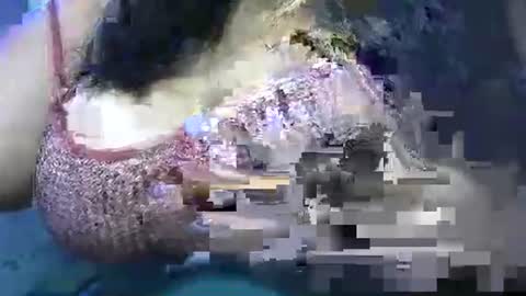 Snapshot of schoco_milf chatting on April 2026 10:40:02 AM mai latina online show from April 2026 10:40:02 AM