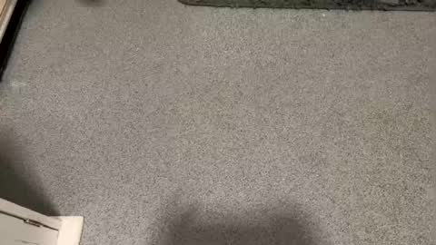 scottyc48 online show from January 2026 03:17:02 PM