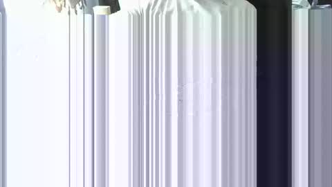 ScSnake online show from January 2025 06:10:01 PM