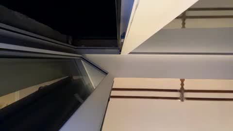 sdddisk online show from December 2024 04:19:01 PM