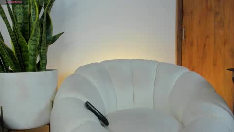 sebastian online show from November 2025 11:20:01 AM