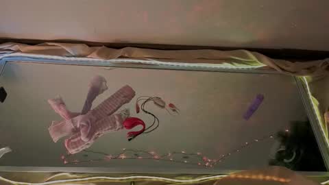 Mali online show from January 2026 09:58:02 AM