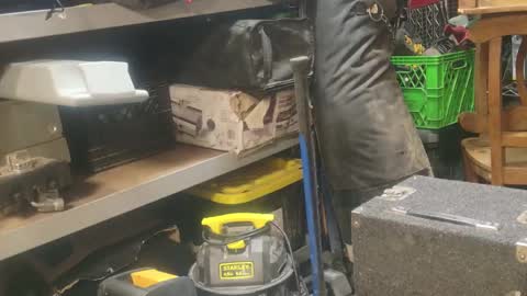 Snapshot of seeker404 chatting on January 2025 09:17:02 AM Seeker online show from January 2025 09:17:02 AM