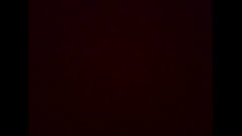 seekingwhatslost online show from February 2026 04:33:01 AM