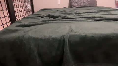 seeminglyscarlette online show from October 2025 06:44:01 AM